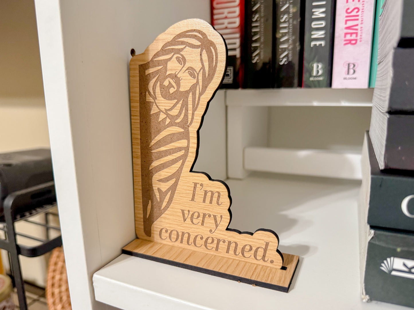 Jesus Is Concerned - Wood Shelf Sign